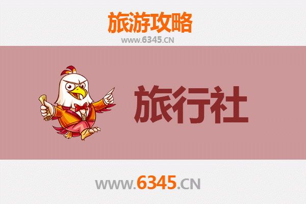 琼海龙江镇本地旅行社推荐 | 深度体验海南乡村风情